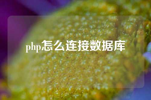 php怎么连接数据库