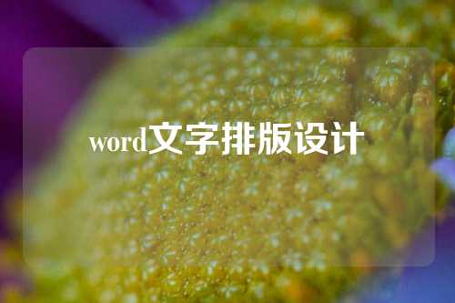 word文字排版设计