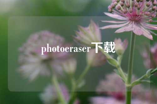 photoeraser下载