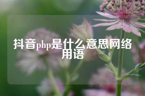 抖音php是什么意思网络用语