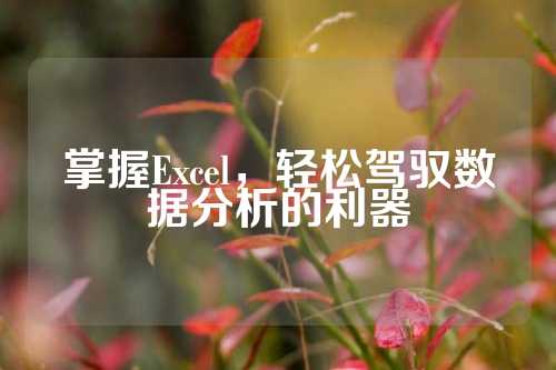 掌握Excel，轻松驾驭数据分析的利器