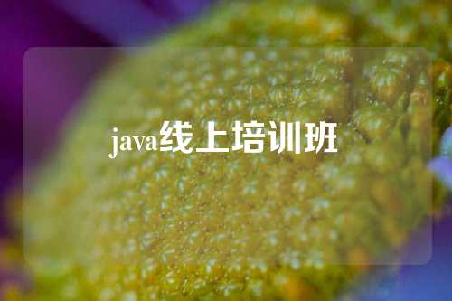 java线上培训班