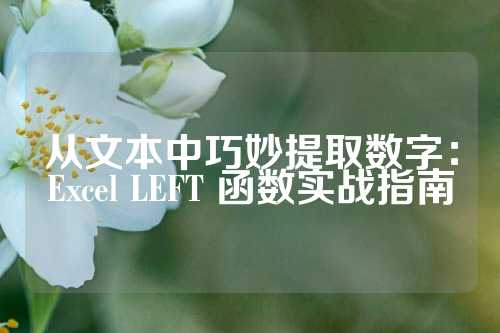 从文本中巧妙提取数字：Excel LEFT 函数实战指南