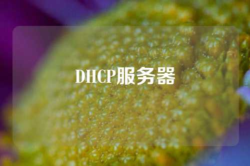 DHCP服务器