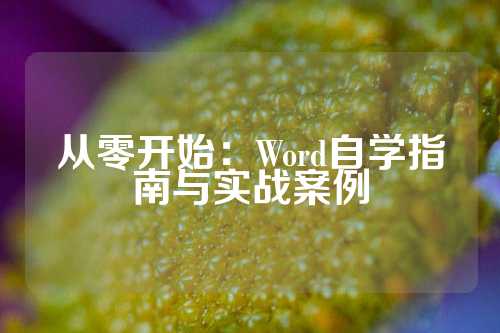 从零开始：Word自学指南与实战案例