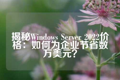 揭秘Windows Server 2022价格：如何为企业节省数万美元？