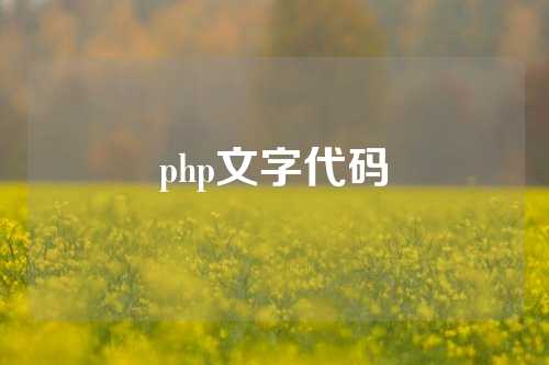 php文字代码