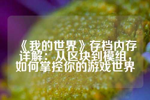 《我的世界》存档内存详解：从区块到模组，如何掌控你的游戏世界