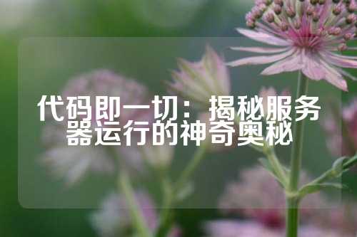 代码即一切：揭秘服务器运行的神奇奥秘