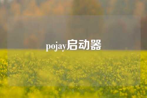 pojay启动器