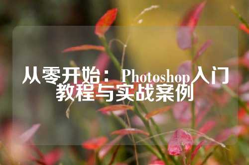 从零开始：Photoshop入门教程与实战案例