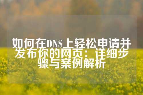 如何在DNS上轻松申请并发布你的网页：详细步骤与案例解析