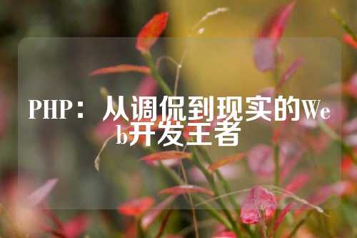 PHP：从调侃到现实的Web开发王者