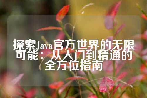 探索Java官方世界的无限可能：从入门到精通的全方位指南