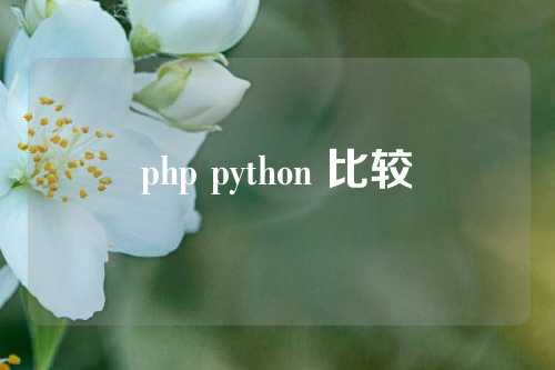 php python 比较