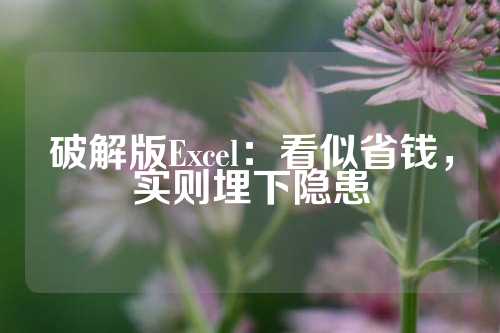 破解版Excel：看似省钱，实则埋下隐患