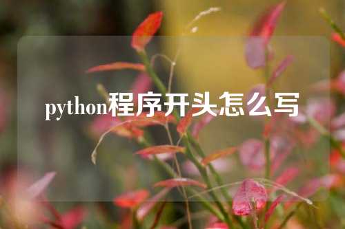 python程序开头怎么写