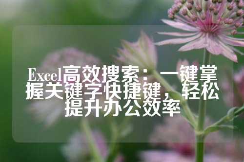 Excel高效搜索：一键掌握关键字快捷键，轻松提升办公效率