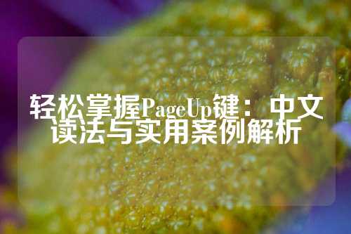 轻松掌握PageUp键：中文读法与实用案例解析