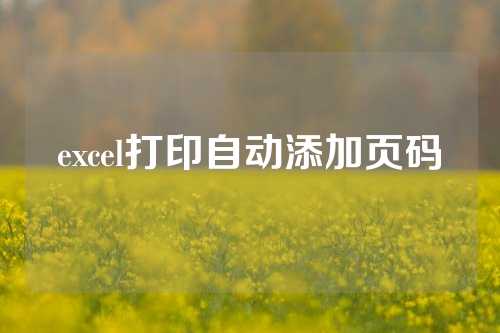 excel打印自动添加页码