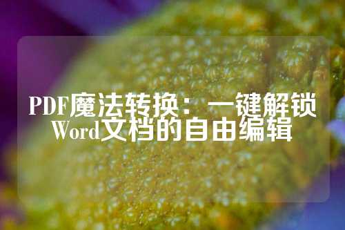 PDF魔法转换：一键解锁Word文档的自由编辑