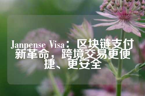 Janpense Visa：区块链支付新革命，跨境交易更便捷、更安全