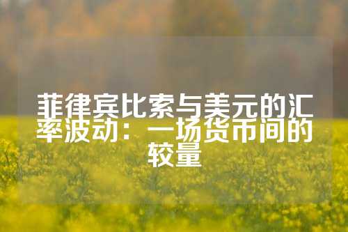 菲律宾比索与美元的汇率波动：一场货币间的较量