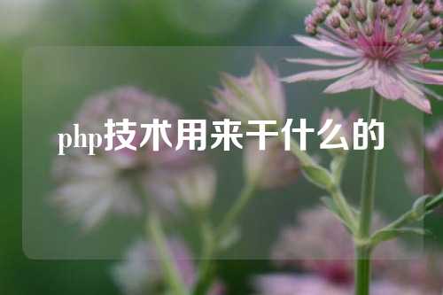 php技术用来干什么的