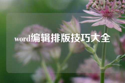 word编辑排版技巧大全