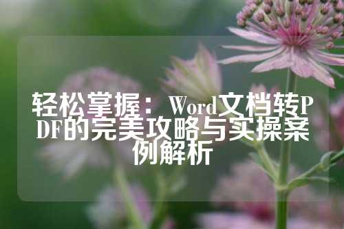 轻松掌握：Word文档转PDF的完美攻略与实操案例解析