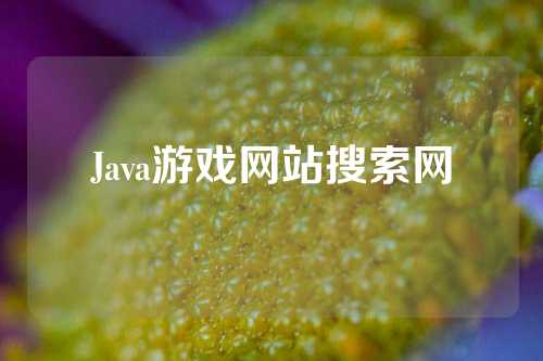 Java游戏网站搜索网