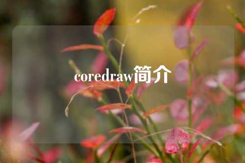 coredraw简介