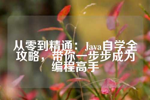 从零到精通：Java自学全攻略，带你一步步成为编程高手