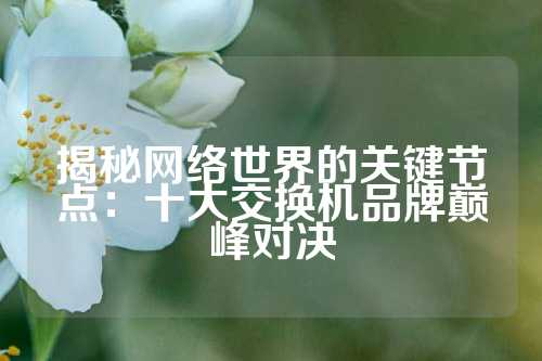 揭秘网络世界的关键节点：十大交换机品牌巅峰对决