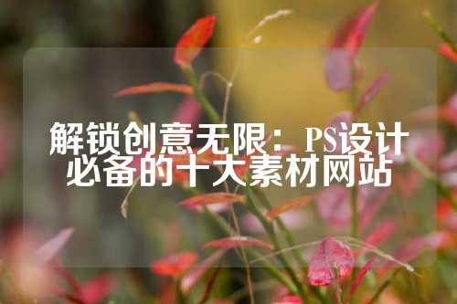 解锁创意无限：PS设计必备的十大素材网站