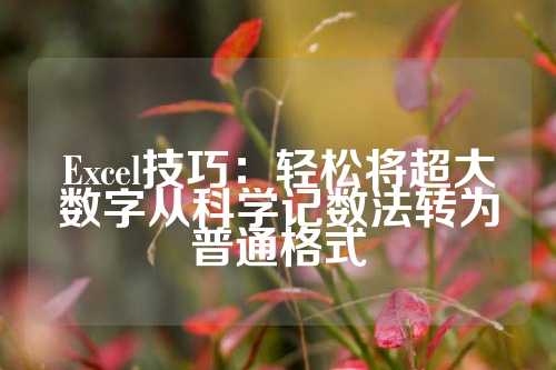 Excel技巧：轻松将超大数字从科学记数法转为普通格式