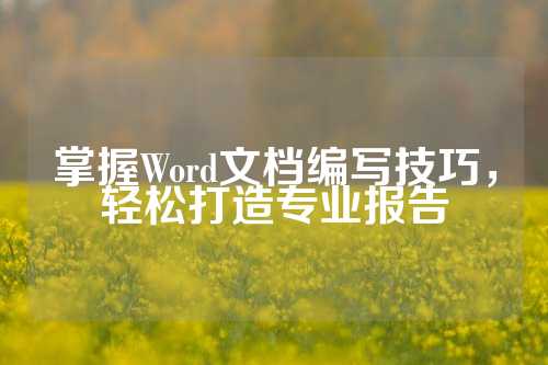 掌握Word文档编写技巧，轻松打造专业报告