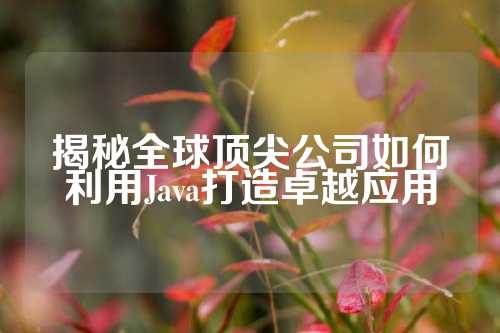 揭秘全球顶尖公司如何利用Java打造卓越应用