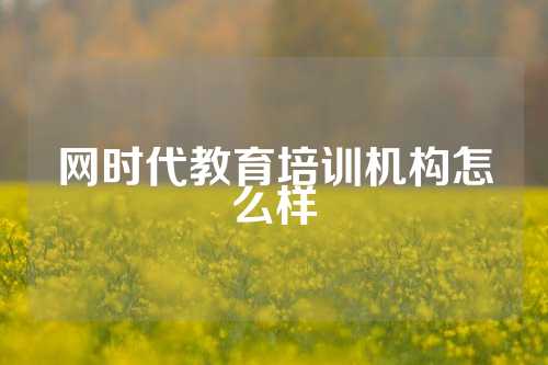 网时代教育培训机构怎么样