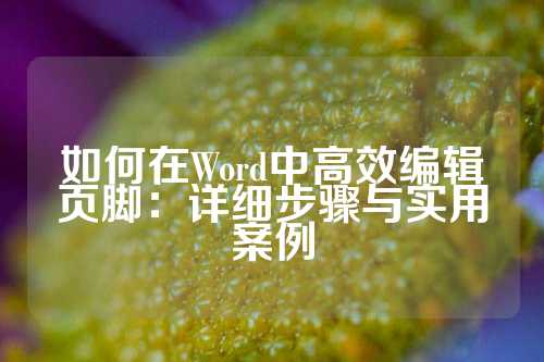 如何在Word中高效编辑页脚：详细步骤与实用案例