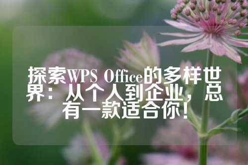 探索WPS Office的多样世界：从个人到企业，总有一款适合你！