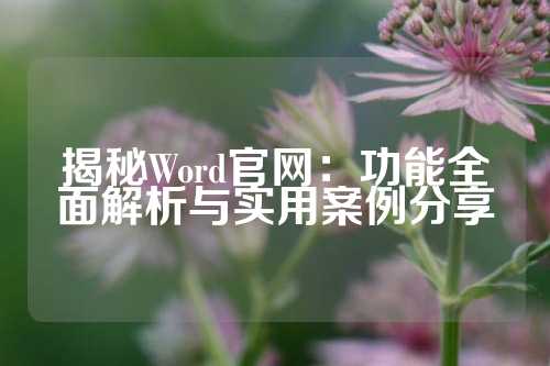 揭秘Word官网：功能全面解析与实用案例分享