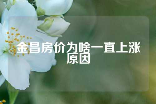 金昌房价为啥一直上涨原因