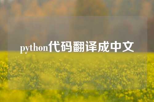 python代码翻译成中文