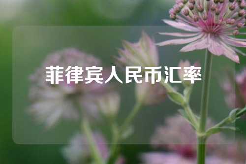 菲律宾人民币汇率