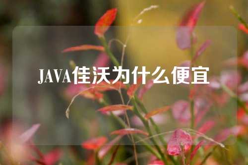 JAVA佳沃为什么便宜