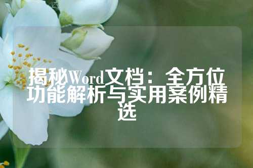 揭秘Word文档：全方位功能解析与实用案例精选