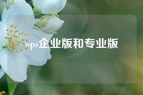 wps企业版和专业版