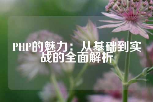 PHP的魅力：从基础到实战的全面解析