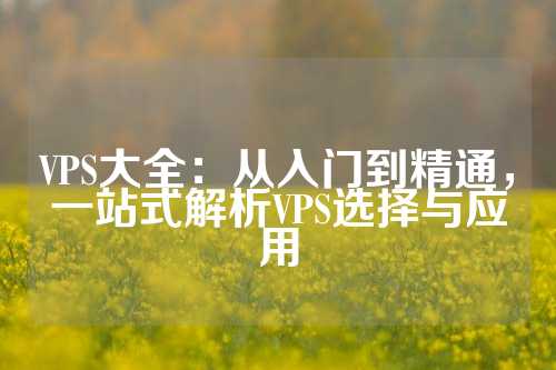 VPS大全：从入门到精通，一站式解析VPS选择与应用